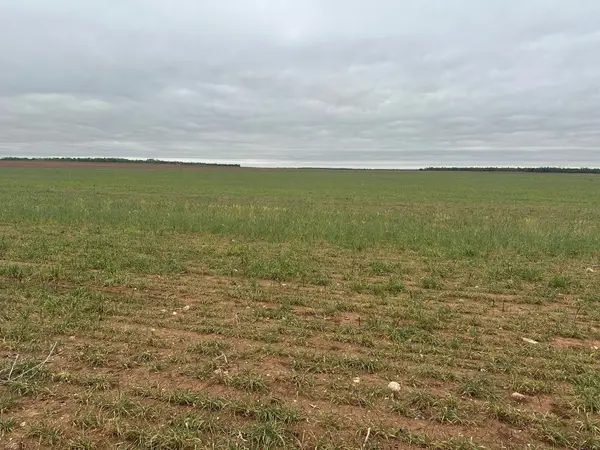 TBD Fm 1812 ( Tract 1 ), Merkel, TX 79536