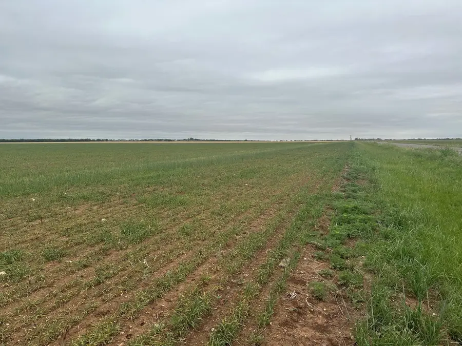 TBD Fm 1812 ( Tract 1 ), Merkel, TX 79536 - #2