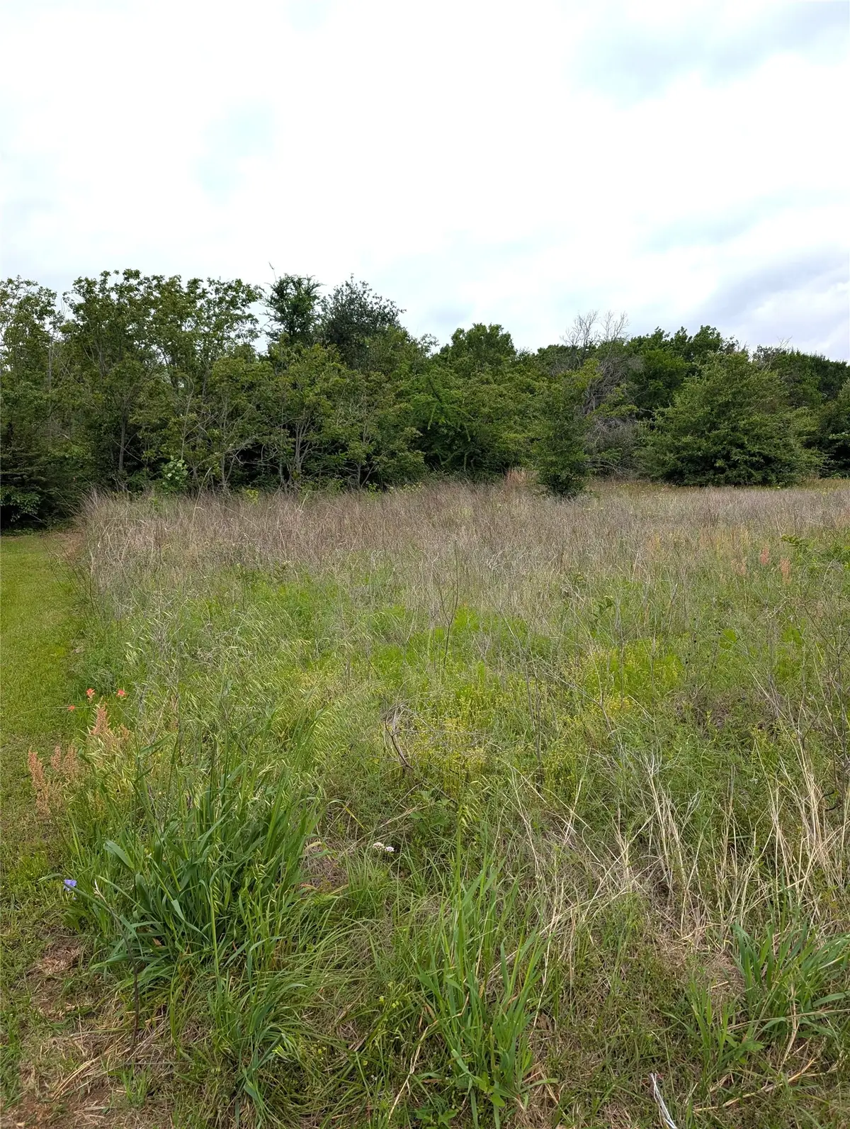 0 Meadow Heath Drive, Gun Barrel City, TX 75156 - #1