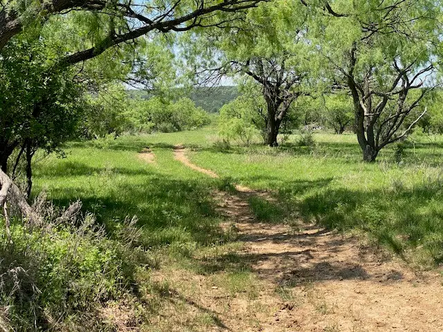 9999 Fm 2228, Baird, TX 79504 - #1