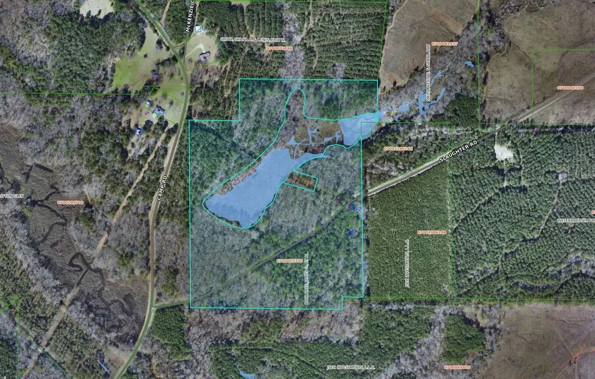 242 Slaughter Road, Homer, LA 71040 - #1