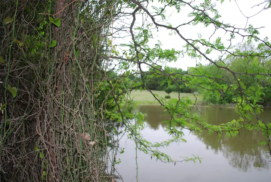 232 Terry Lane, Heath, TX 75032 - #3