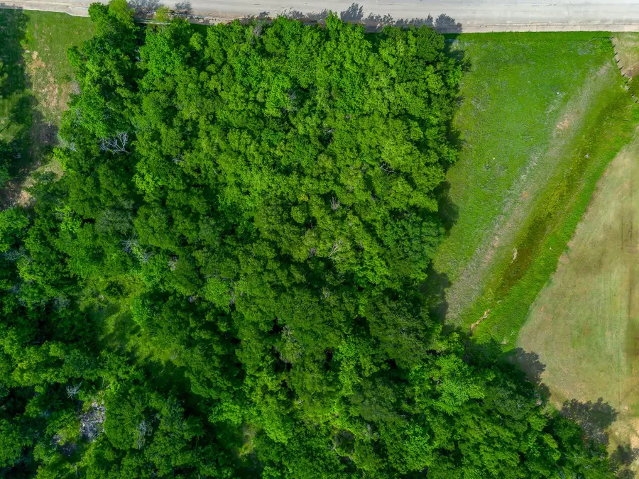 1193 S Brazos Avenue, Cleburne, TX 76031 - #2