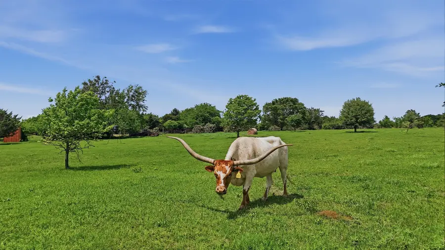 13.65 Ac. Keefer Road, Pottsboro, TX 75076 - #3