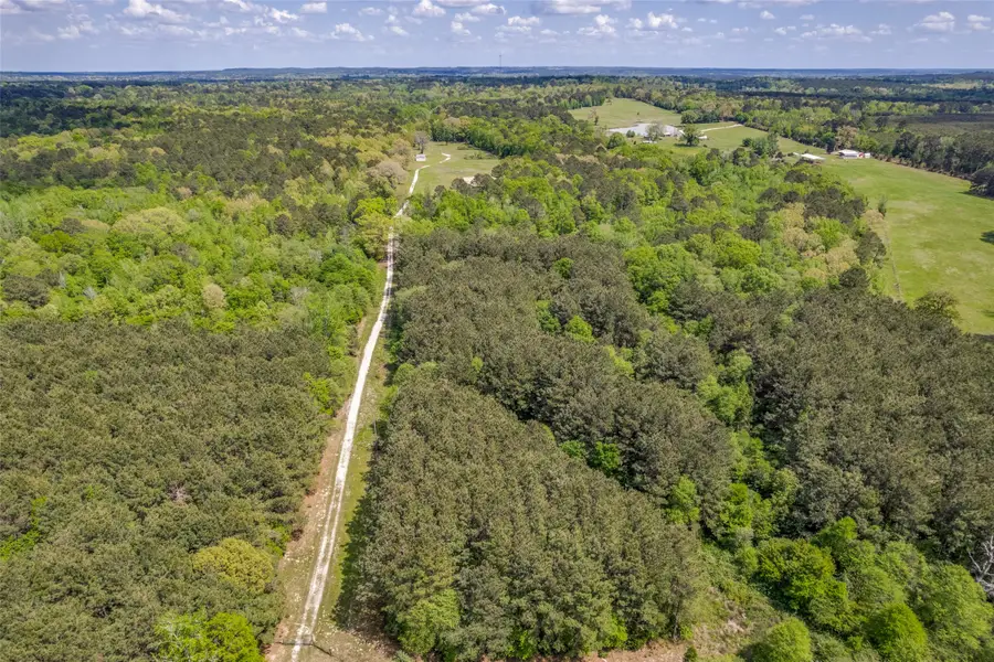 980 County Road 2619, Marietta, TX 75566 - #3