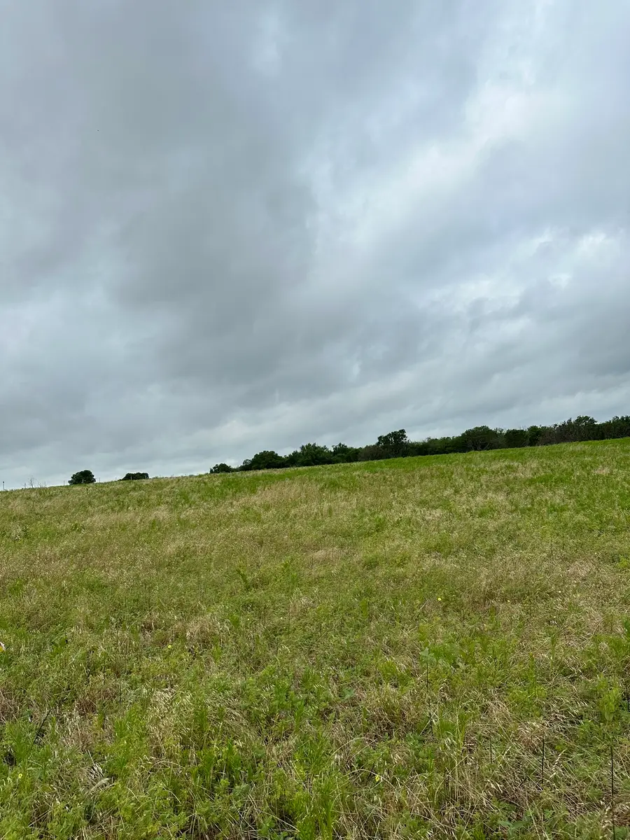 Lot 15 Old Sandborn Ranch Road, Southwest Grayson, TX 76268 - #2