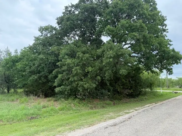 24170 Stonewood Drive, Whitney, TX 76692 - #3