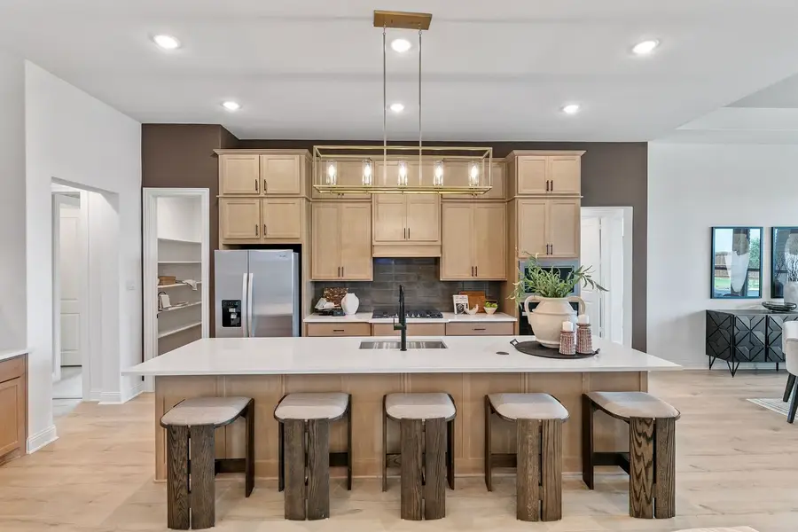 239 Wintergrass Drive, Waxahachie, TX 75165 - #3