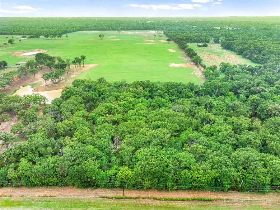 TBD Fm 773, Ben Wheeler, TX 75754 - #2