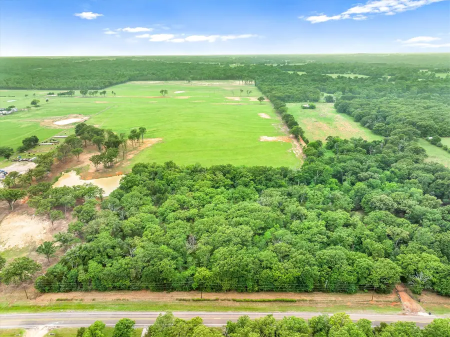 TBD Fm 773, Ben Wheeler, TX 75754 - #3