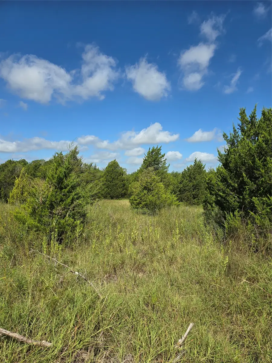 3694 County Road 1103, Celeste, TX 75423 - #2