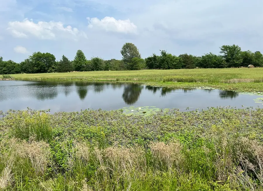 LOT 11 Pr 5291, Yantis, TX 75497 - #2