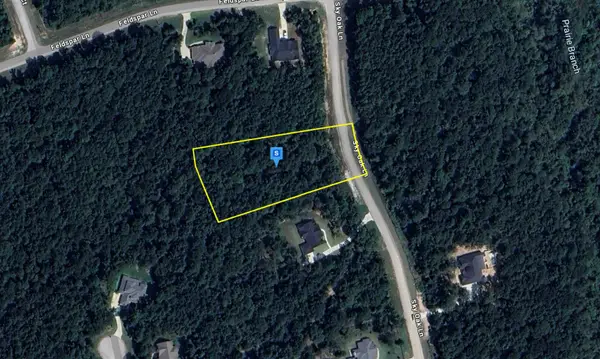 265 Sky Oak Lane, Huntsville, TX 77340