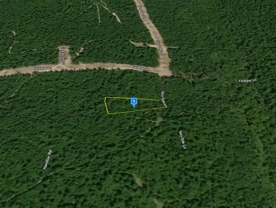 265 Sky Oak Lane, Huntsville, TX 77340 - #3