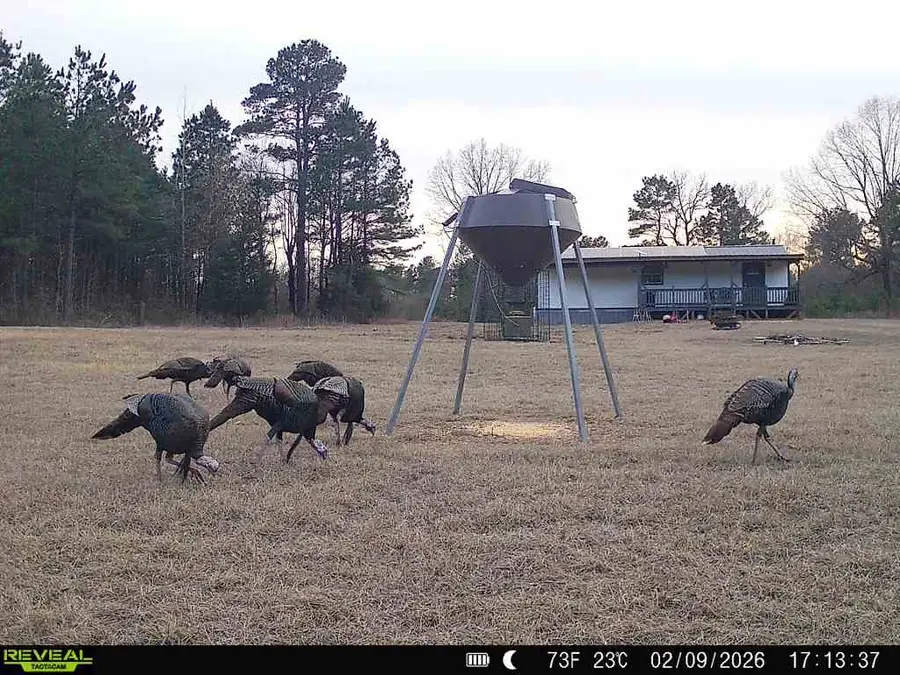 11750 Fm 1159, Clarksville, TX 75426 - #2