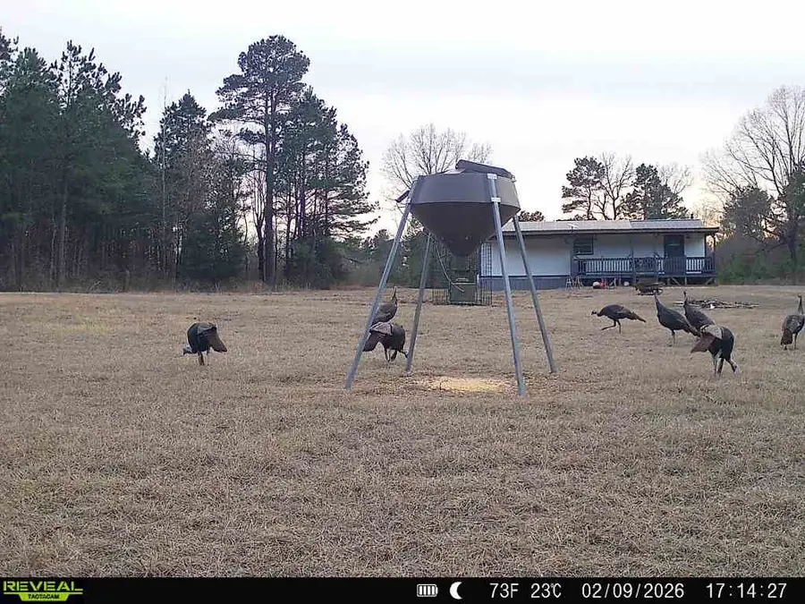 11750 Fm 1159, Clarksville, TX 75426 - #3