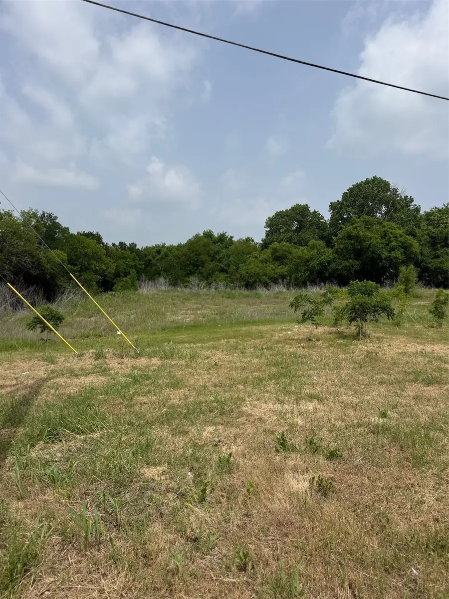 430 N Dallas Street, Palmer, TX 75152 - #2