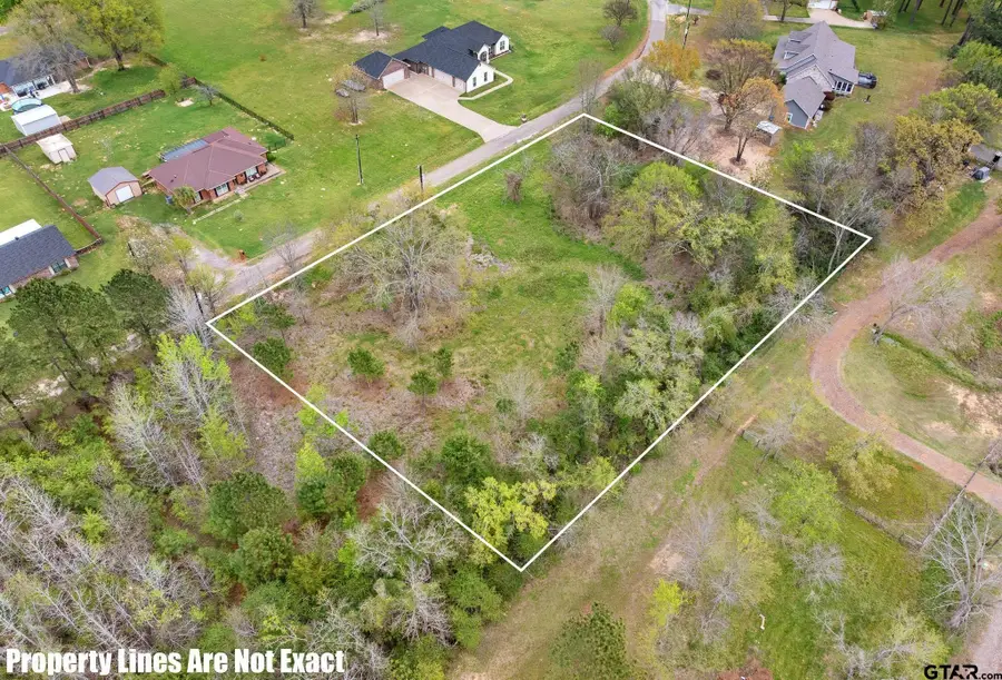 TBD Pr 7009, Frankston, TX 75763 - #3