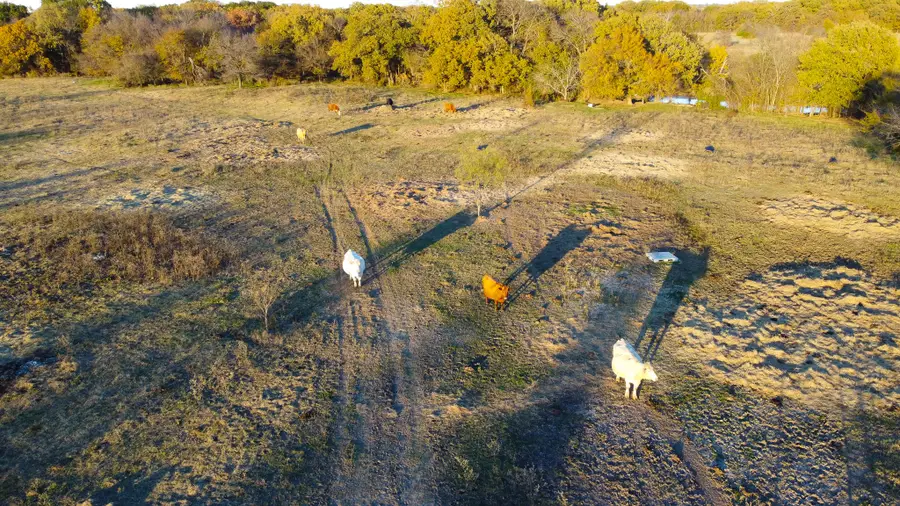 0000 County Road 4095, Kaufman, TX 75142 - #2