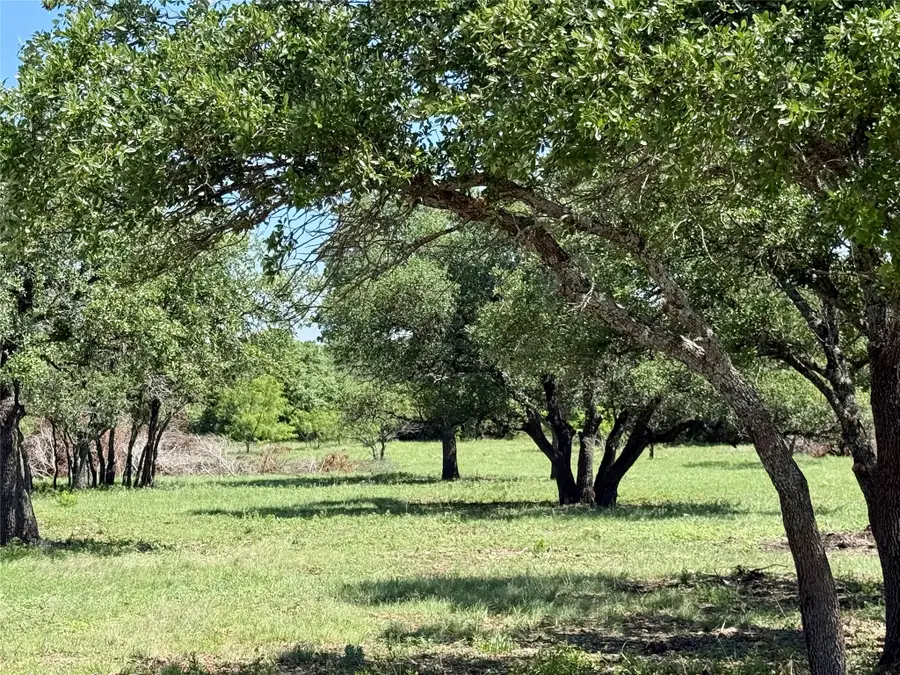 TBD Hwy 67-377, Blanket, TX 76432 - #2