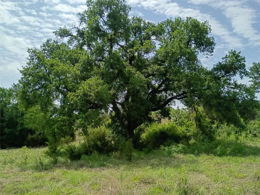 TBD Pr 2901, Hamilton, TX 76531 - #3
