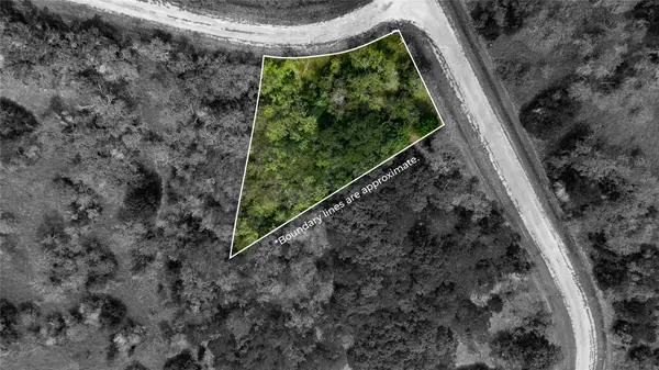 44072 Mountain Sage Drive, Whitney, TX 76692