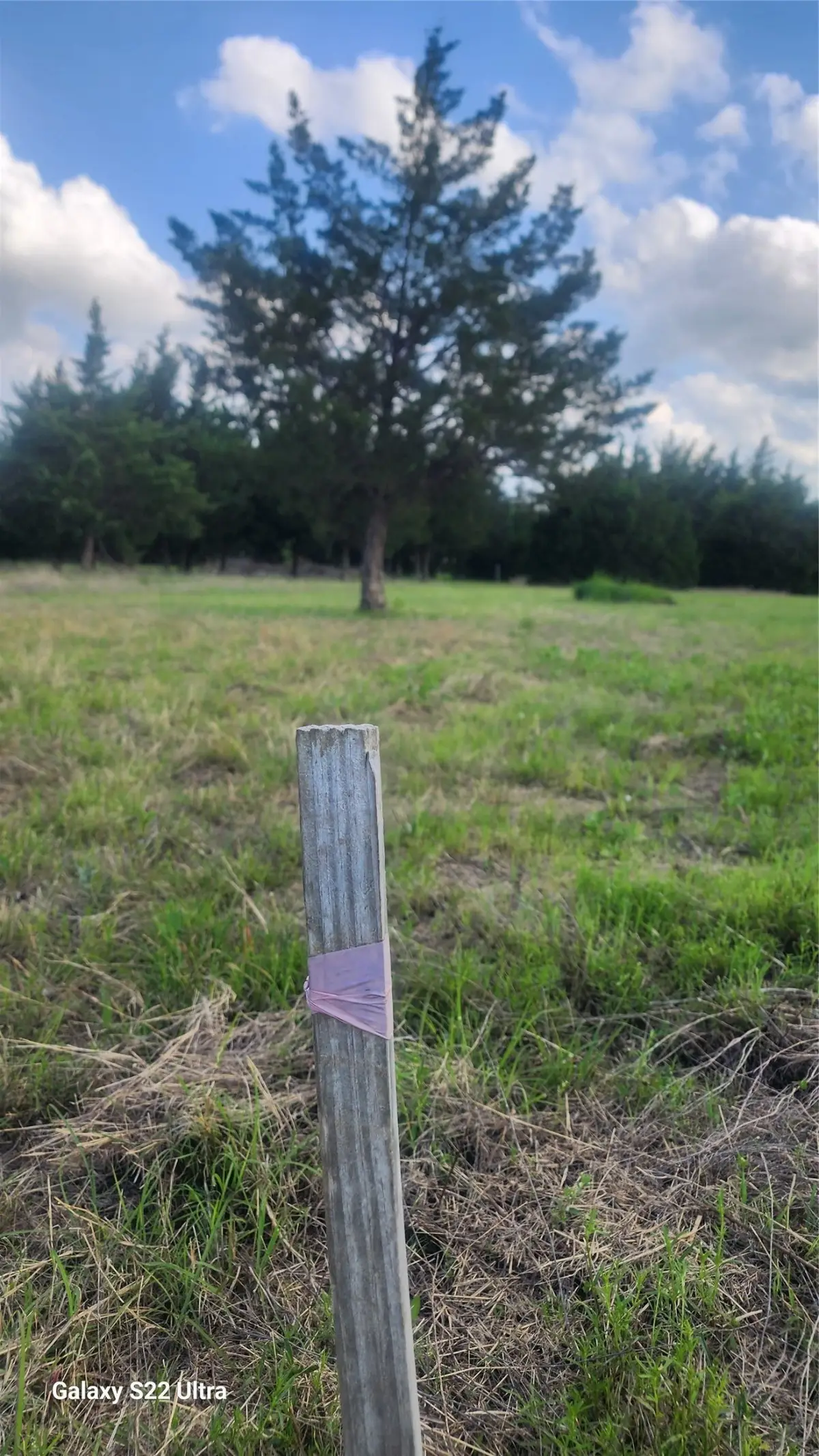 147 W Woodell Drive, Glenn Heights, TX 75154 - #1