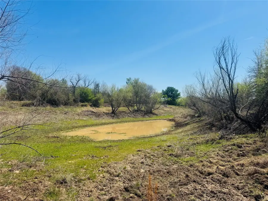 TBD Georgia Pass, Desdemona, TX 76445 - #2