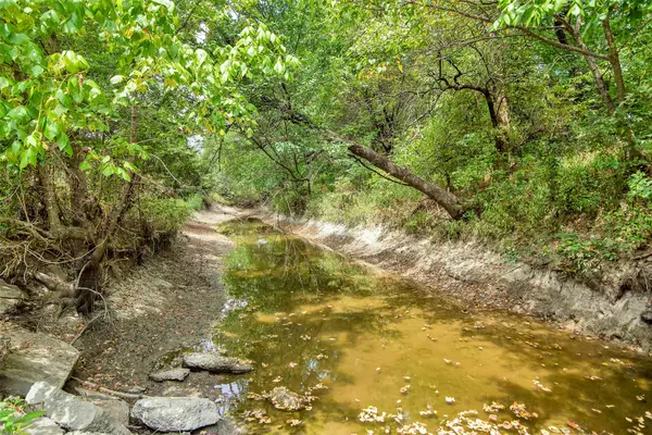 10616 State Highway 78 N, Blue Ridge, TX 75424