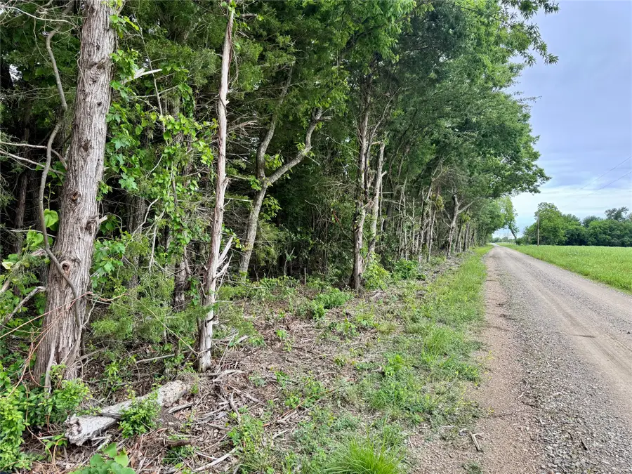TBD Cr 2975, Honey Grove, TX 75446 - #3