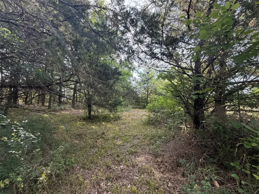Lot 15R-2 Hout Bay Road, Streetman, TX 75859 - #3