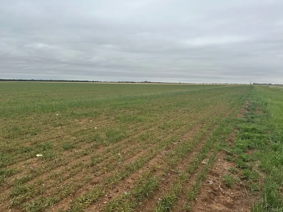 TBD Fm 126 ( Tract 3 ) Merkel, Tx 79536, Merkel, TX 79536 - #3