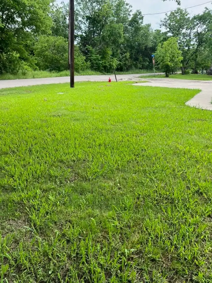 306 Mill Street, Lone Oak, TX 75453 - #2
