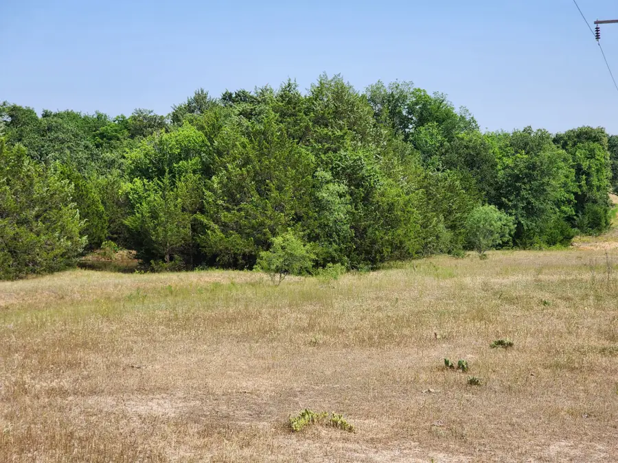 000 County Road 1270, Alvord, TX 76225 - #2