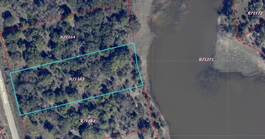1065 Bluegill Ridge, Bluff Dale, TX 76433 - #3