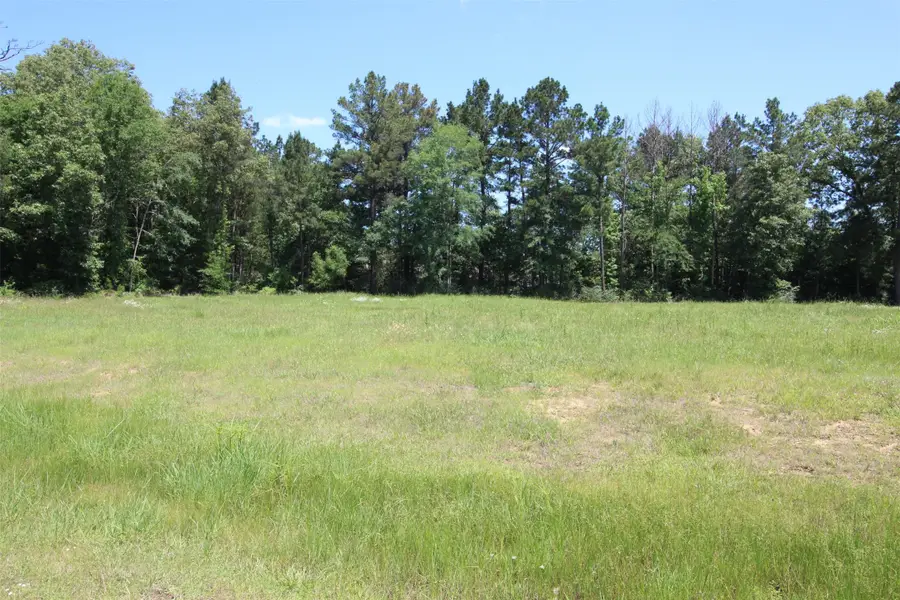 0 Fountainbleau Road, Keithville, LA 71047 - #3