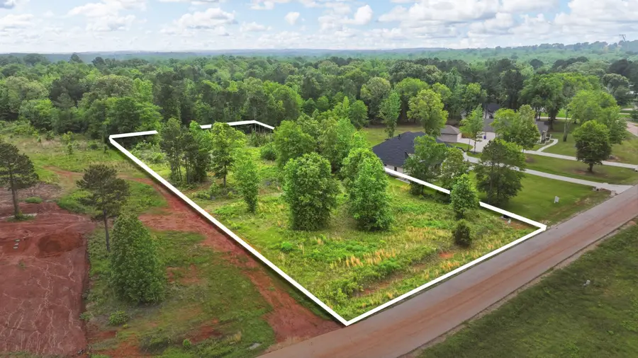830 Stone Chimney Rd, Bullard, TX 75757 - #3