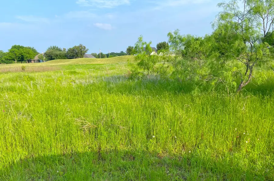 23134 Greenbriar Drive, Whitney, TX 76692 - #2