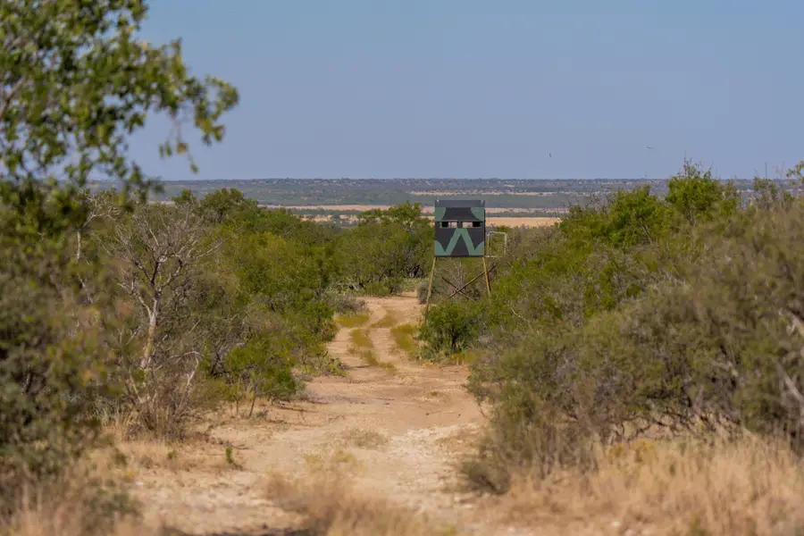 554 Cr 102, Ballinger, TX 76821 - #3