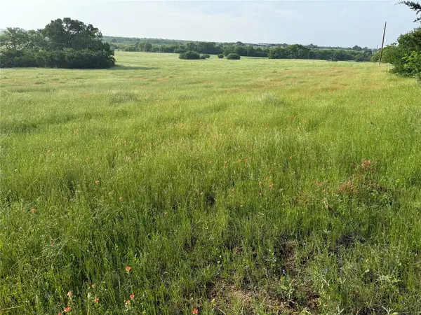 10.1 acres Co Rd 4055, Kemp, TX 75143