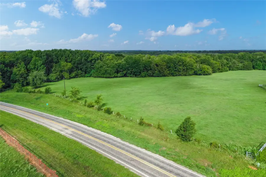 51.00 (+/-) Acres Fm 773, Grand Saline, TX 75140 - #2