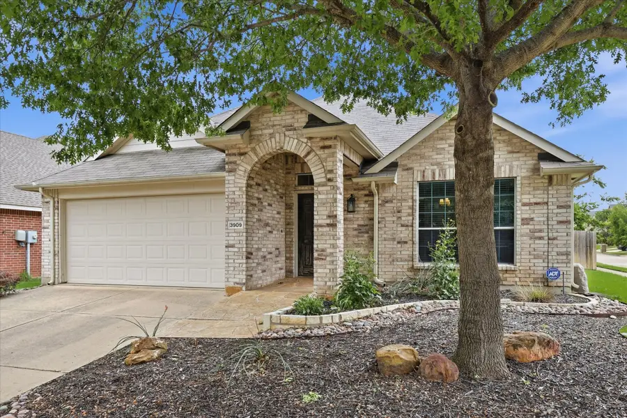 3909 Cliffside Drive, Denton, TX 76208 - #3