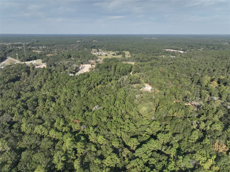 TBD Whispering Pines Lane, Plantersville, TX 77363 - #2