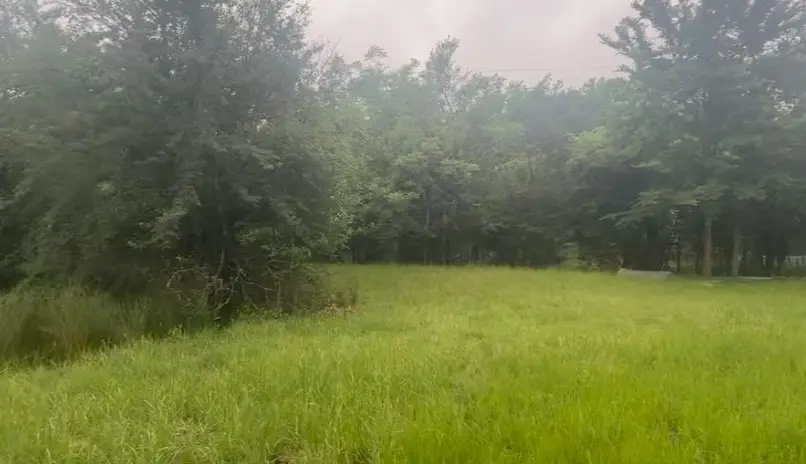 8990 County Road 2414, Quinlan, TX 75474 - #3