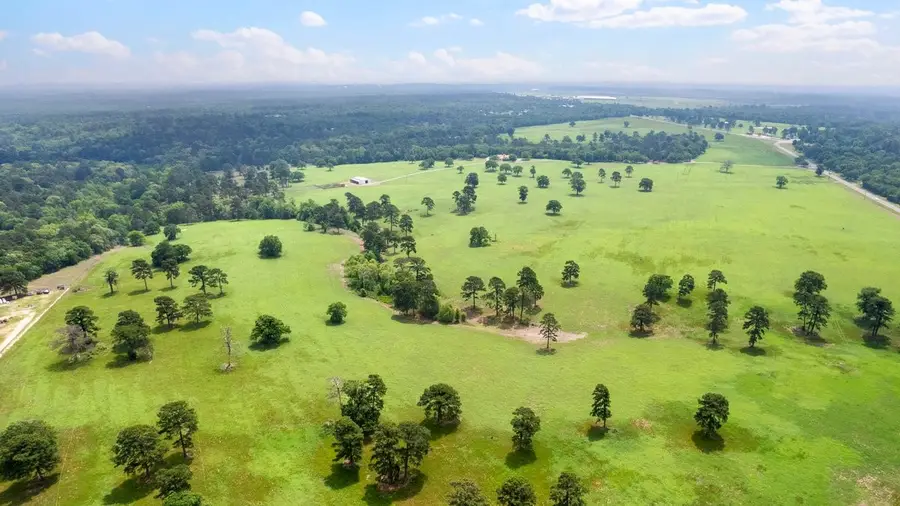 226 Fm 2869, Winnsboro, TX 75494 - #2