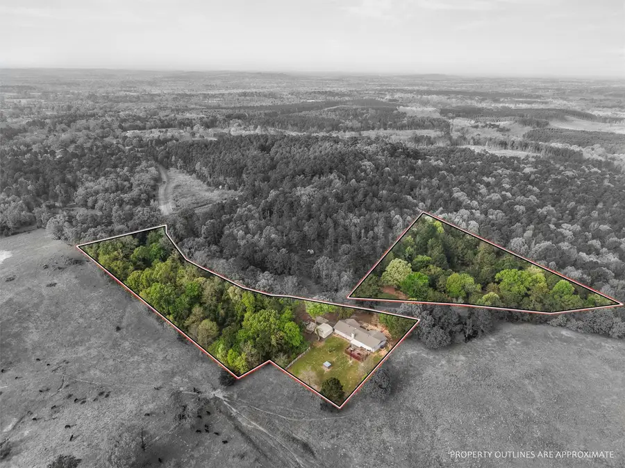 571 County Road, Daingerfield, TX 75638 - #2
