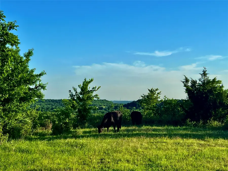 0000 Fm 3206, Saint Jo, TX 76265 - #3