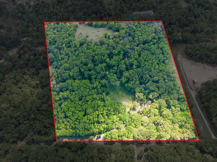 412 Vz County Road 4505, Ben Wheeler, TX 75754 - #3
