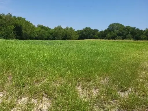 TBD Fm 121, Van Alstyne, TX 75495 - #2