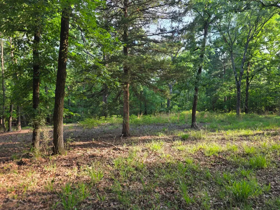 Lot 377 Timber Ridge, Larue, TX 75770 - #3